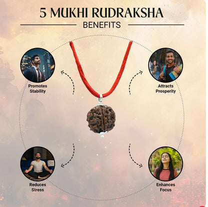 5 Mukhi Rudraksha With Bracelet Combo