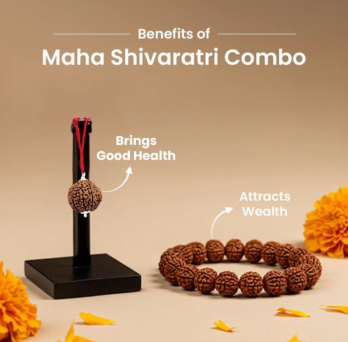 5 Mukhi Rudraksha With Bracelet Combo