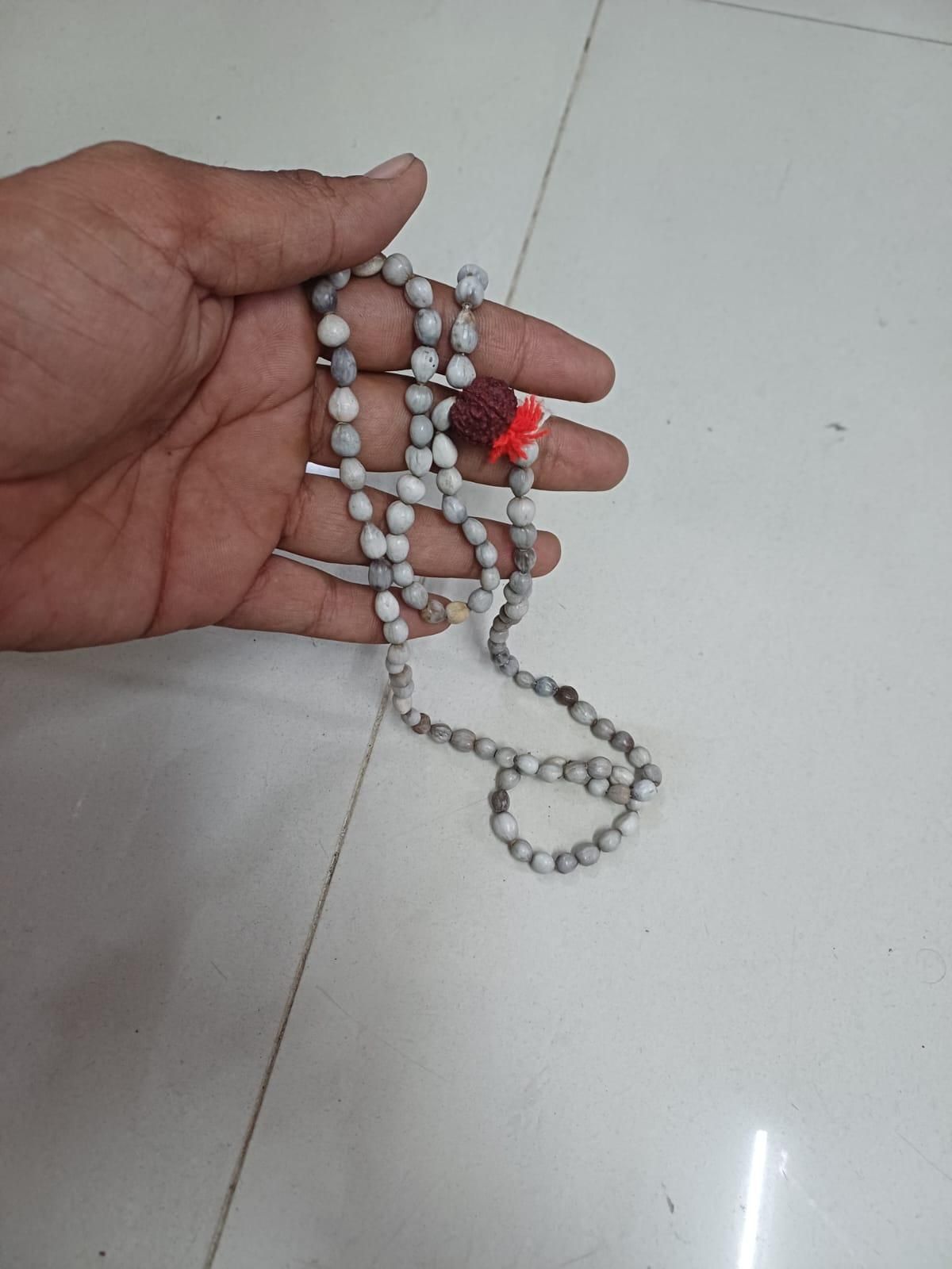 Original Vaijayanti Mala With Rudraksha Moira Stone