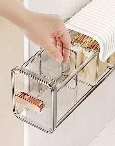 Wall Mounted Socks Storage Box 6 Cell New Clear Transparent Storage Box Multi Functional Plastic Storage Rack for Clothes, Socks Ties Data Cable Spices Grid Closet for Home Wardrobe